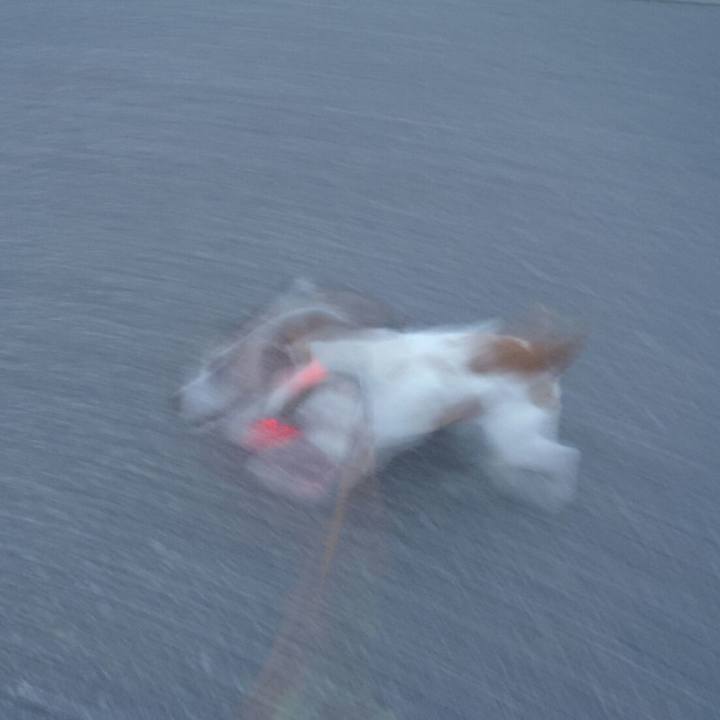 79cde47b b4d7 4338 9293 b5ffd1d4053e