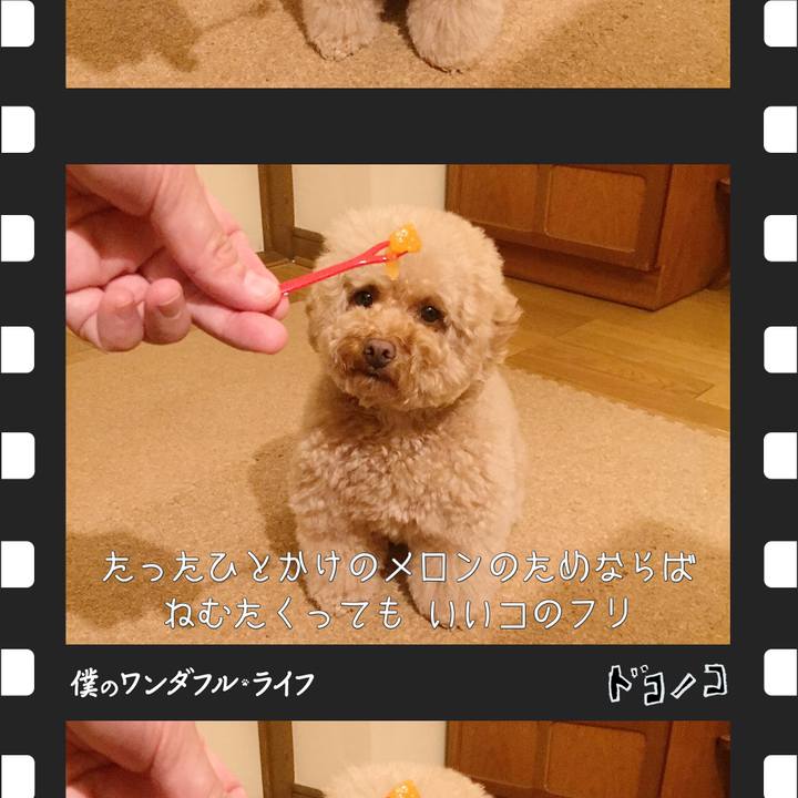 79ced946 0536 441e 8602 d49f6b97b703