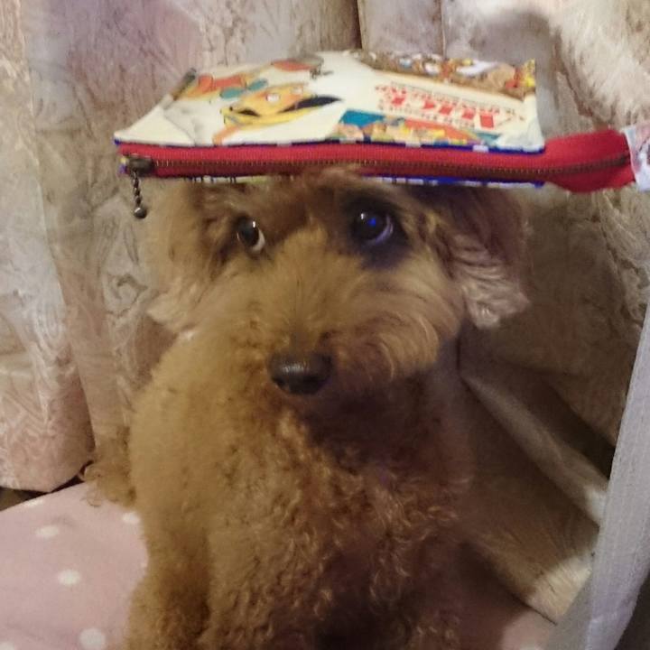 79cef597 2758 4b36 8bb1 d142c552e163