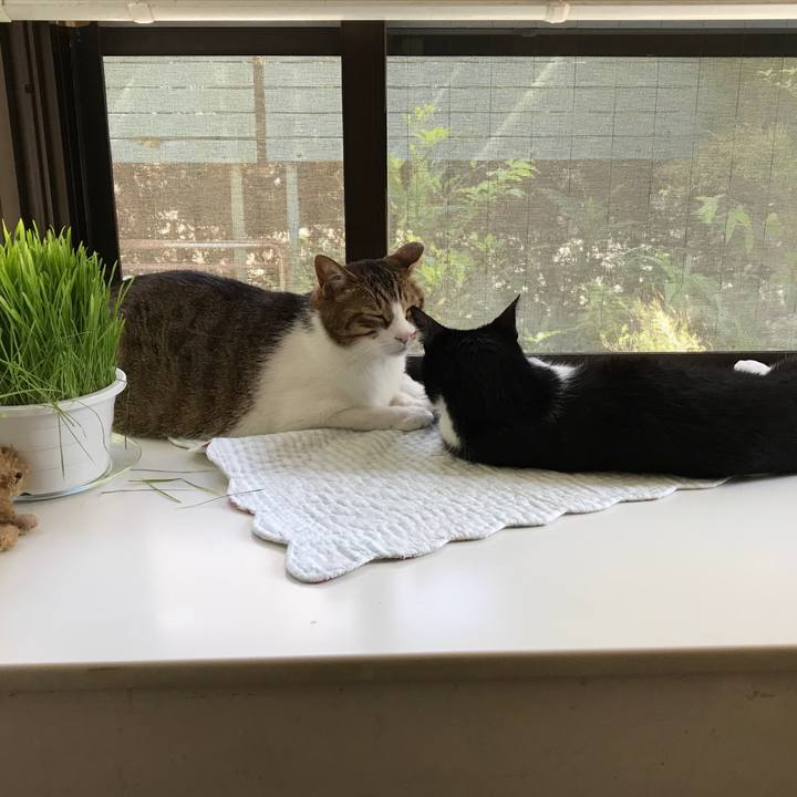 79cf20a2 431f 4475 b426 b533d10bab07