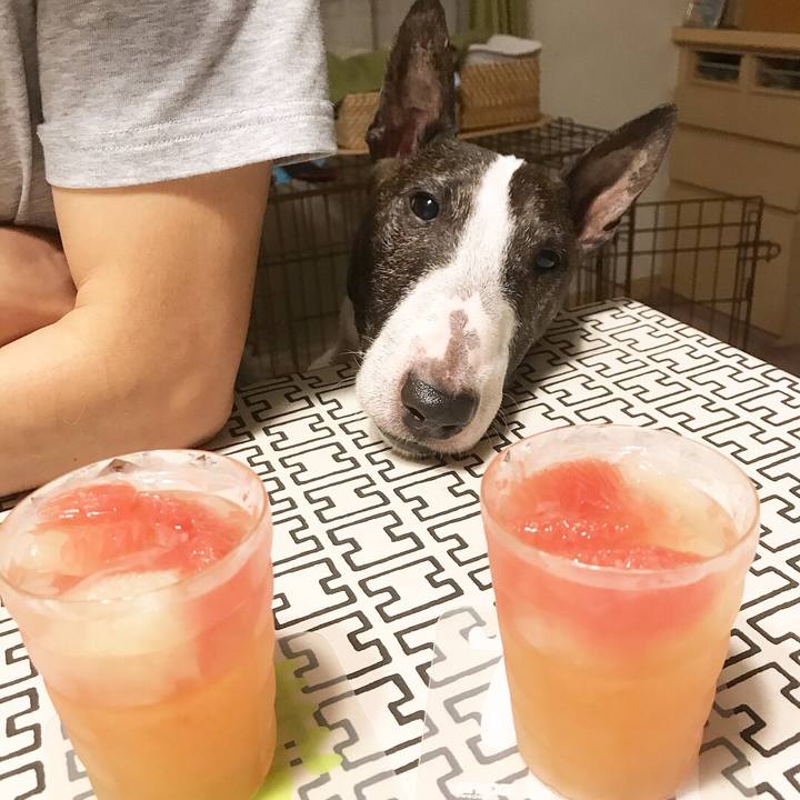 79cf567d a5ef 4ee9 9348 52cea3ca4d53