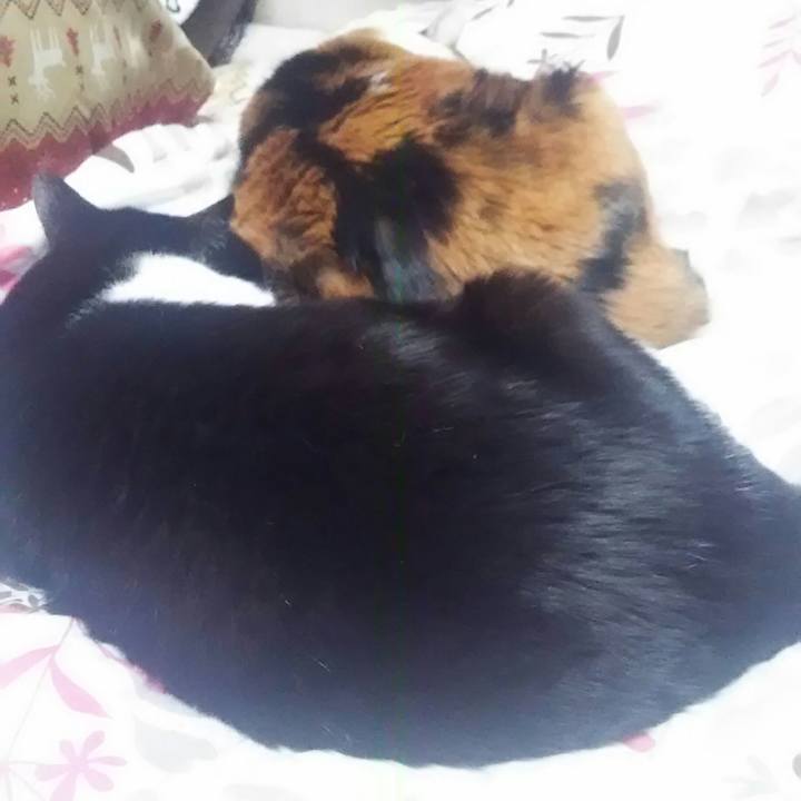 79cfb88c 49be 47d3 9b09 5428fbccdaeb