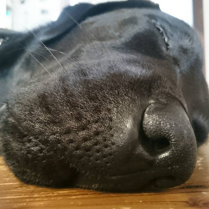 79cfd4a3 739a 4339 ae75 77837dea9a0a