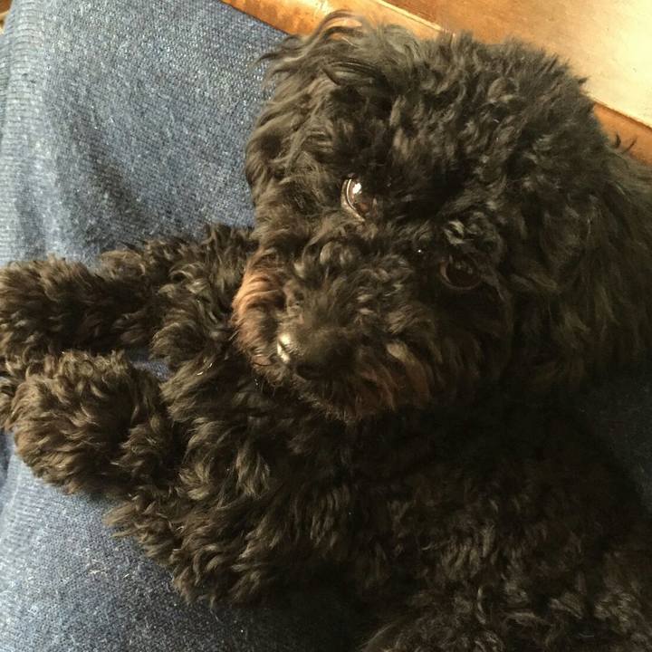 79cfe76e 88b4 4ecc 8371 e98a375b504d