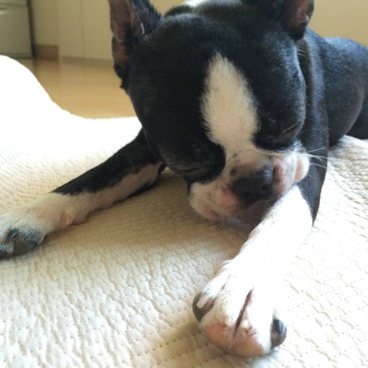 79d005f0 e92f 455e bd15 0a8e1c56cf24