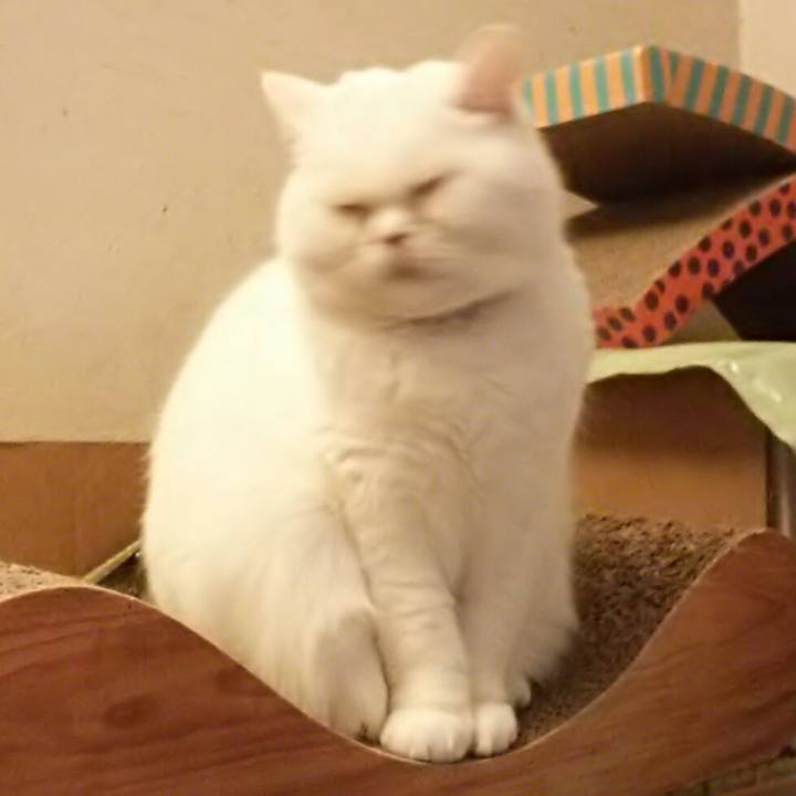 79d06de7 a32b 4b52 b3e7 6a1b72c03b56