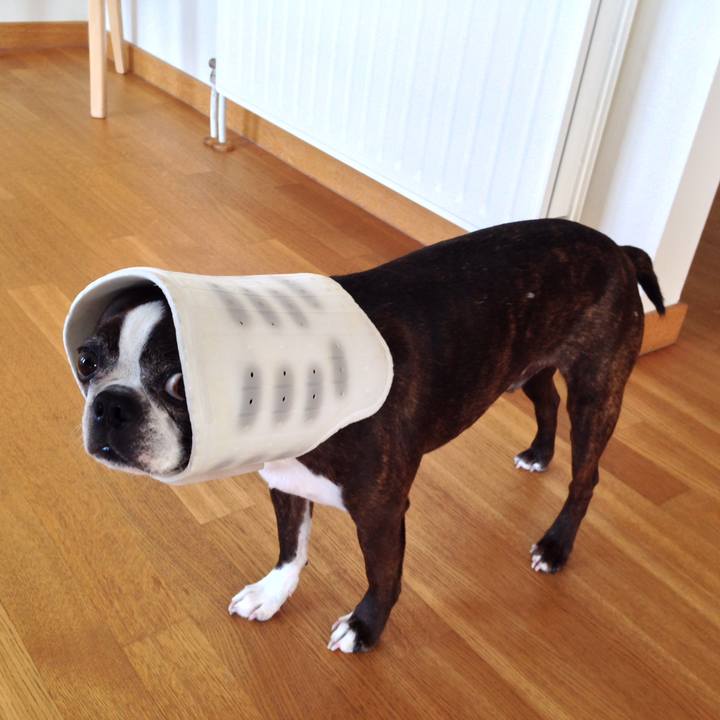 79d08f1f a37c 4476 9ac6 c6c15d32cc1c