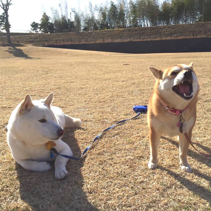 79d0aa78 71aa 43df ad38 dc8f61409bad