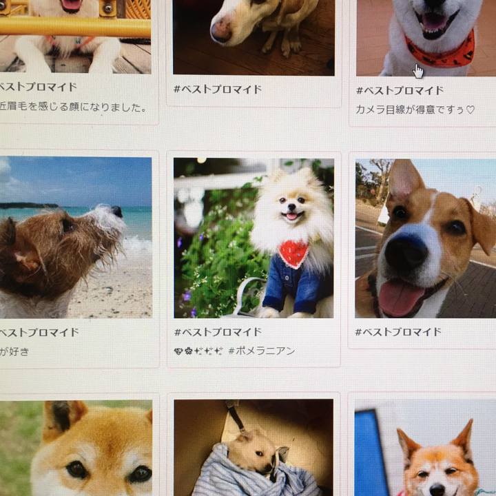 79d13e6d 6b98 4b98 a1c8 db471ed857fb