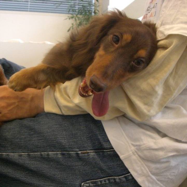 79d16e87 bc9e 48a1 9f36 2602754e9fb0