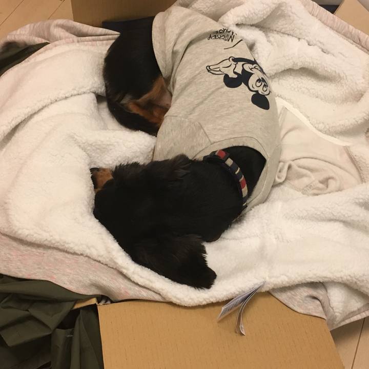 79d208e8 48fa 4ff4 a55a d61e89d903d0