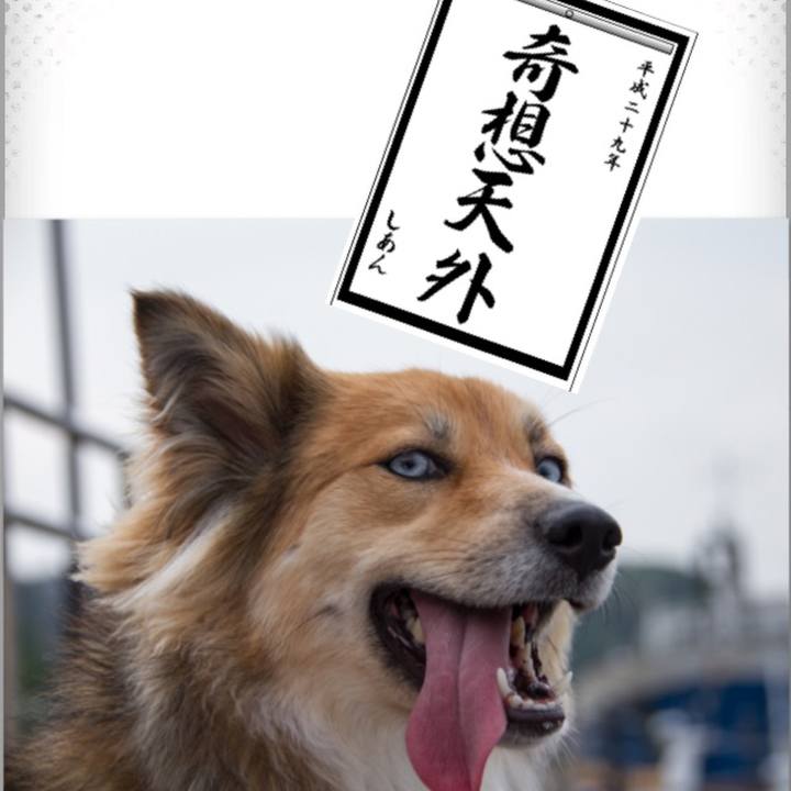 79d2df1c d0b9 43d3 a150 9ff3658f6ffa