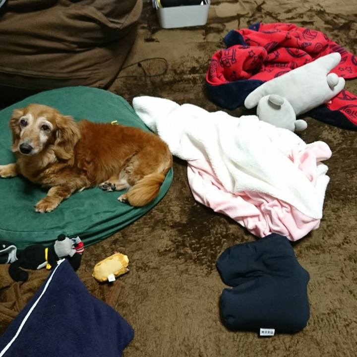 79d2f3c6 ebb1 44c0 b5cc b34e0fa9a70a