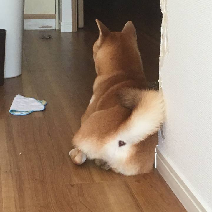 79d3639c 82c7 43c0 b1b3 c8be177027b1