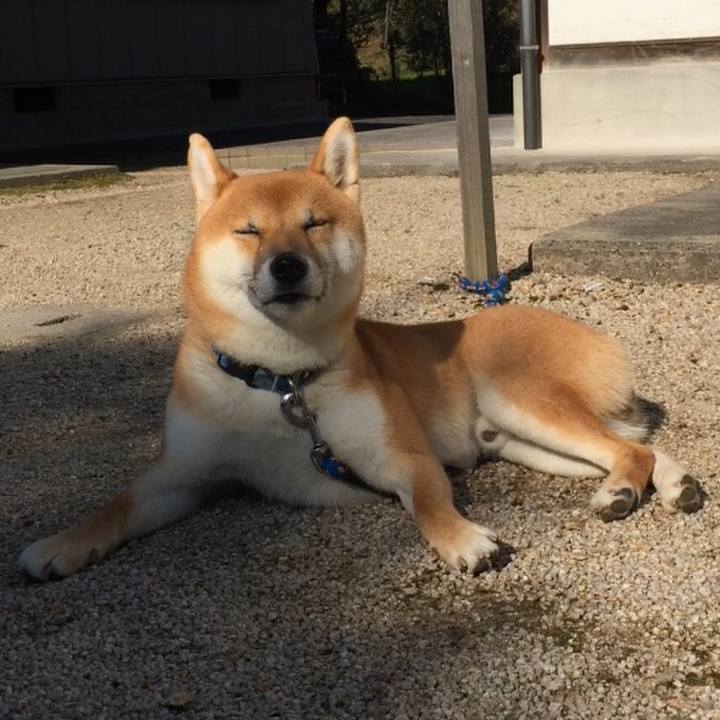 79d3e3d8 1792 48a8 aa1e 2d5b1c064ba7