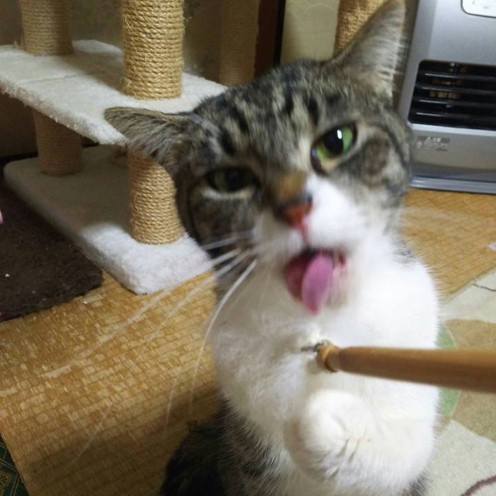 79d49a5e 0f00 4b8c a898 7182eabb61cc