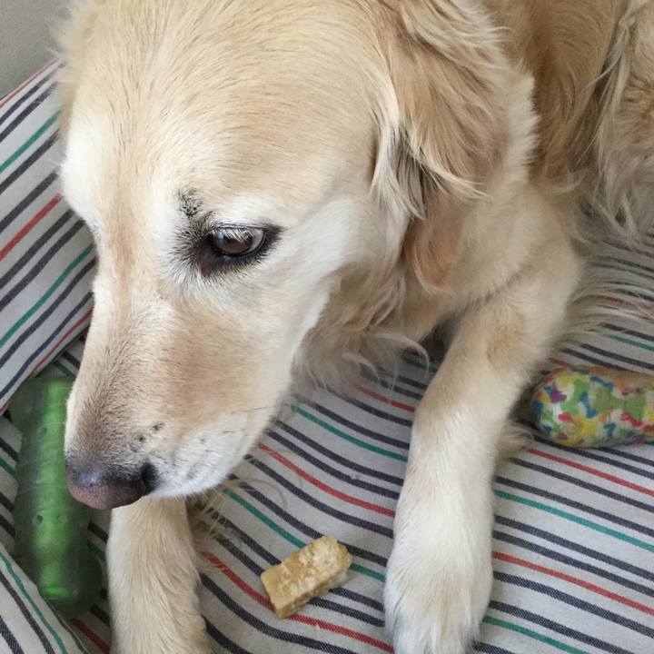 79d4ae0b 80c0 43e0 beb1 d53a1b67859a