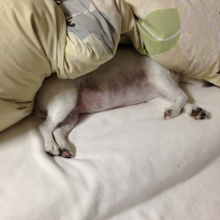 79d4b734 640a 465d 8fc4 f71bc34a2345