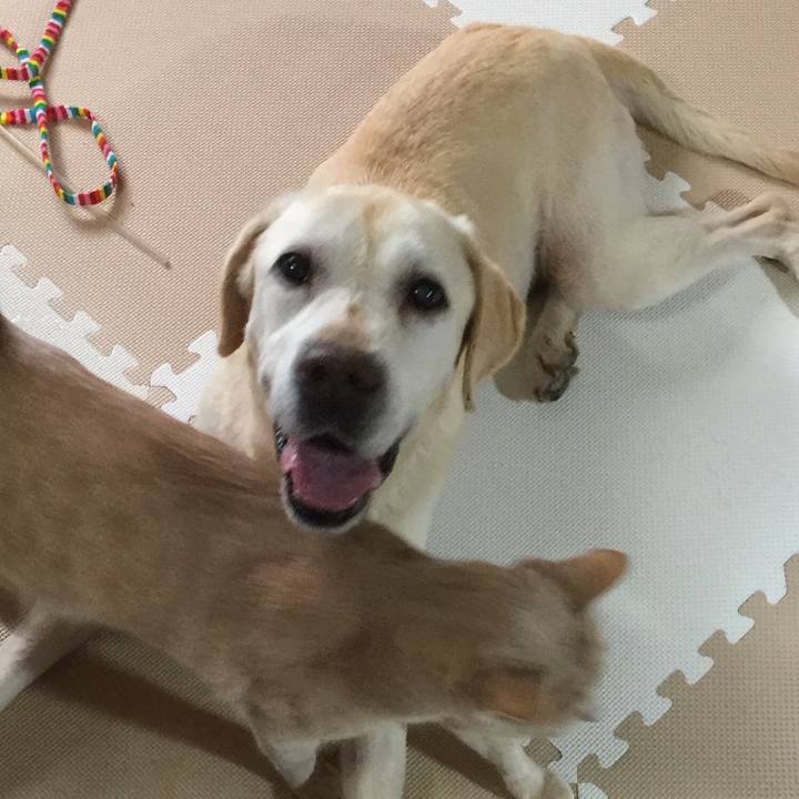 79d587d3 7914 4803 b56d 2d7a0fb7c538