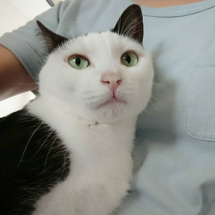 79d62764 fdfa 430e 9f21 f3164b3bcd38