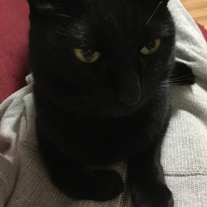 79d6dbcb 6052 43e6 9bdd 6170f1bb48bb