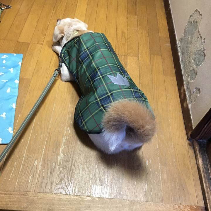 79d70a86 ea77 4478 90e9 4ee6c7a94886