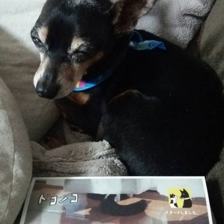 79d71327 4e9c 4e41 8900 339179bf552d