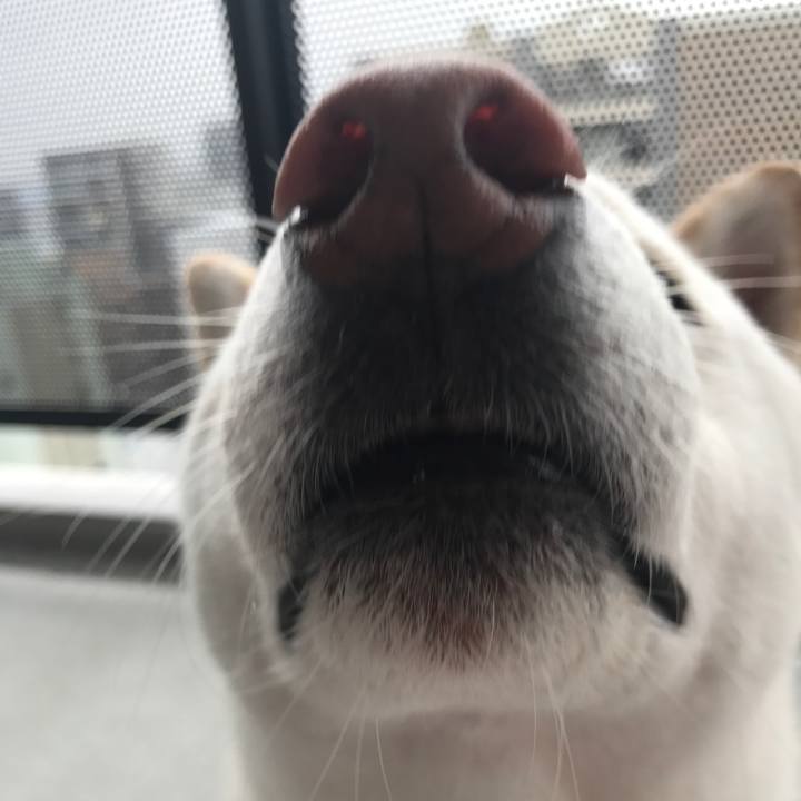 79d76227 e947 48fa 8fb9 556a2b5ad621