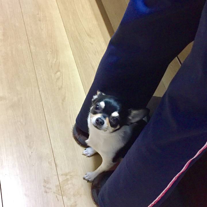 79d7d89b 4406 4331 bfaa efce3c5621f6