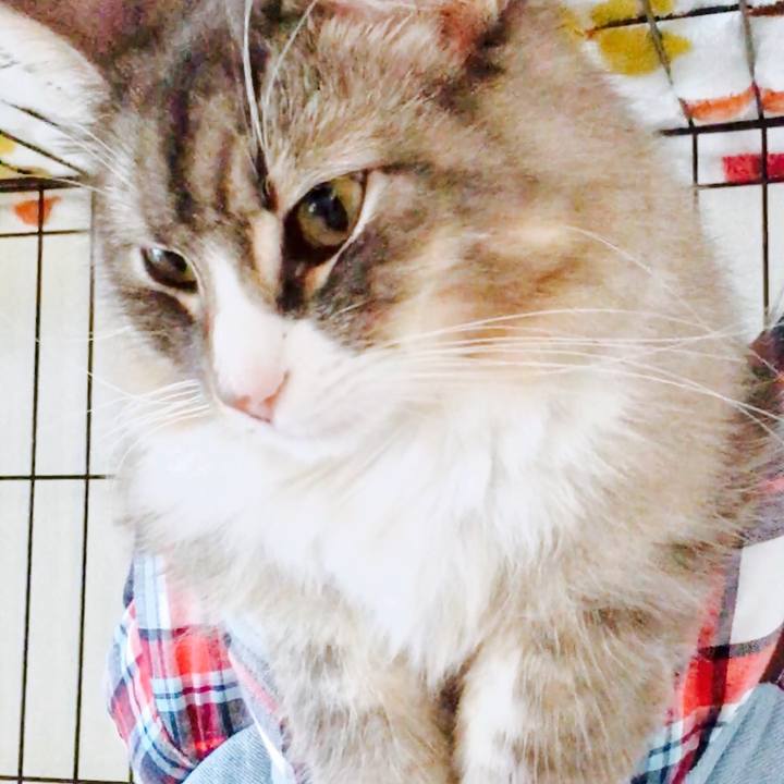 79d7d9ed df41 4522 ba3b 05e5a50f230c