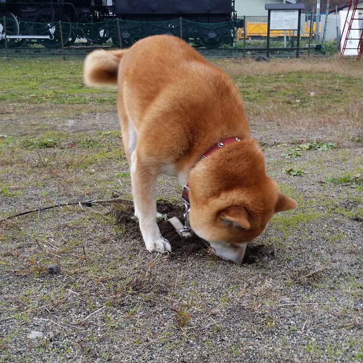 79d80df9 489d 4f5f a06d a975e26fc6e0