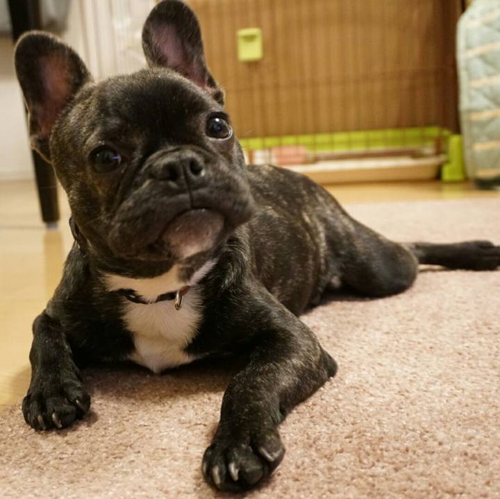 79d8782c 8012 488e bda2 b6e80bb21fa6