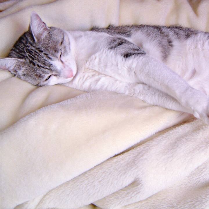 79d87c9c e981 4e0c b4d1 cd62e75be51e