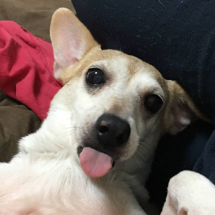 79d88b62 ce00 4591 b4f2 450da05438fc