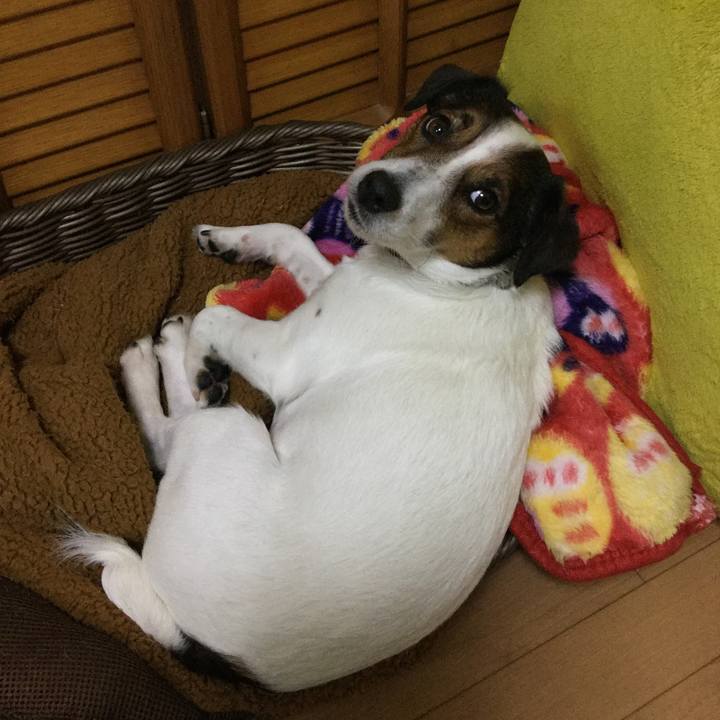 79d8c752 c456 45ec ae70 cfc1da079911