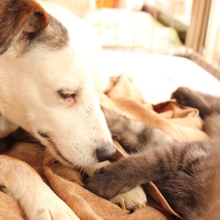 79d8dc69 3373 4ada bbc2 d6c8c00e7af8