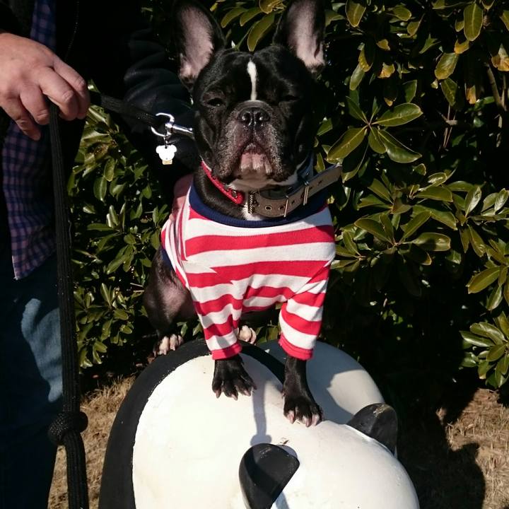 79d8e057 9885 453e a294 d3e51b17e572