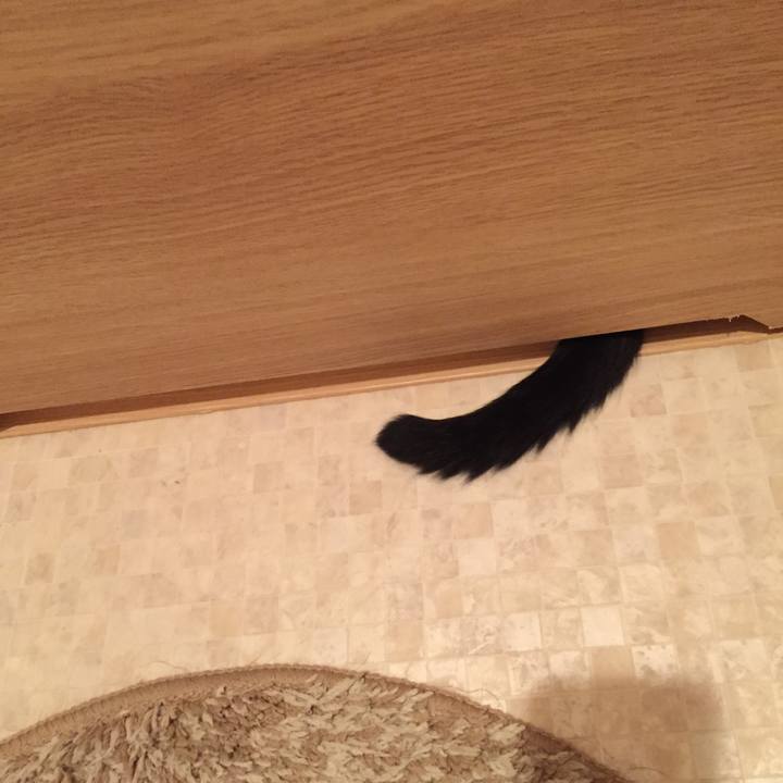 79d9bc25 71a3 469a 905f e6e8be5911e0