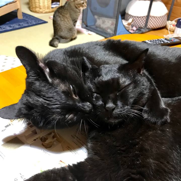 79da2c10 eb89 4c8a afe7 cdb38565893d