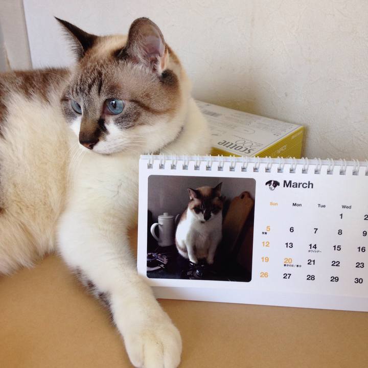 79da3a90 3f17 4abf ab4b de9df3057787