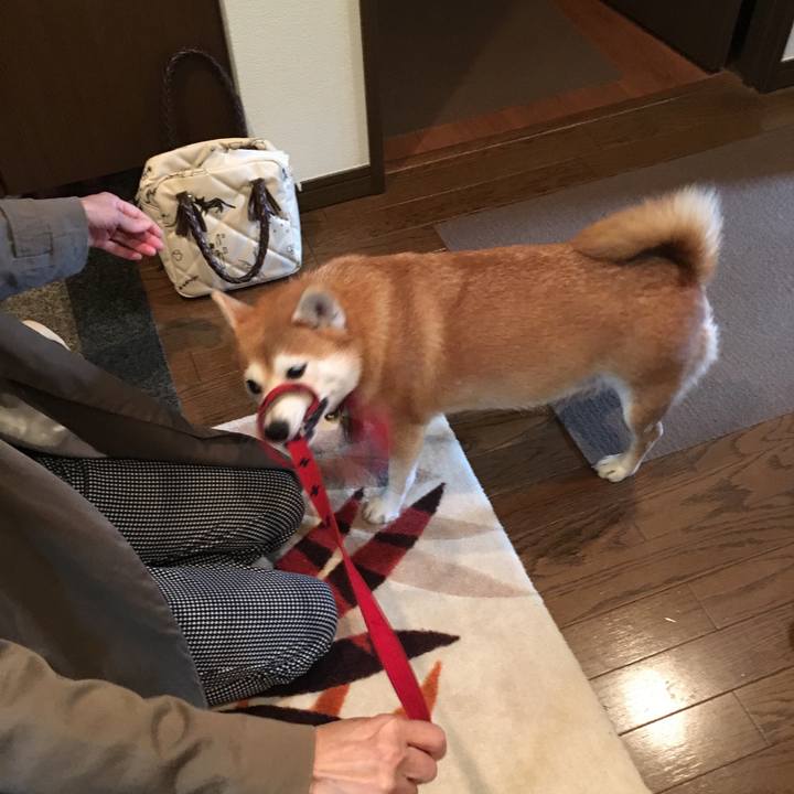 79dae496 a645 497f be64 0bcb4fad8b46