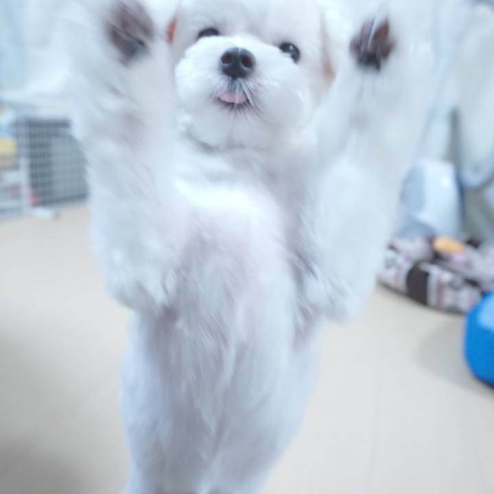 79dba310 2778 412f 9ec0 78018829edb4