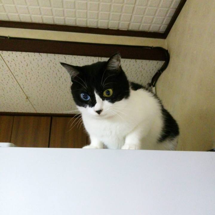 79dc236e 559f 4a7f 9a63 894a673894ef