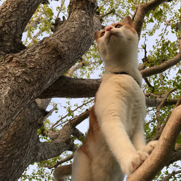 79dd2b23 faf6 4c05 be98 4f92f946ee9c