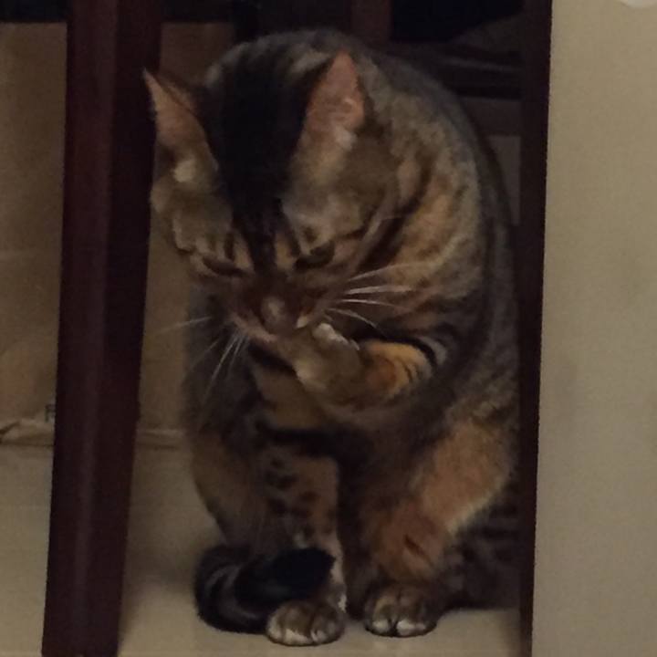 79dd38e0 73fd 439b a6a0 096d8a22f992