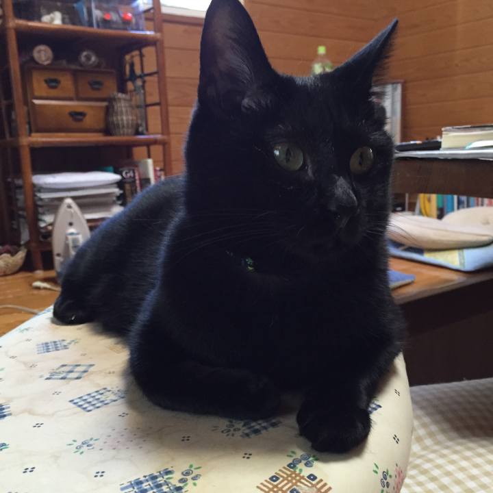 79dd6bef 30c6 4aa2 9eee 7d42450e8e77