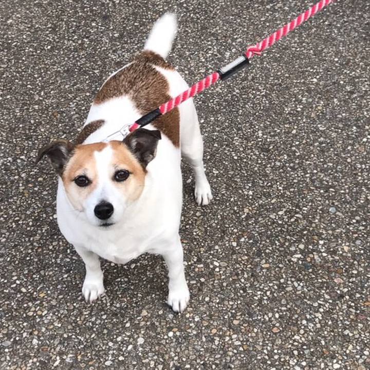 79ddac95 79a6 4ad0 98dc 3eae4f5d9017