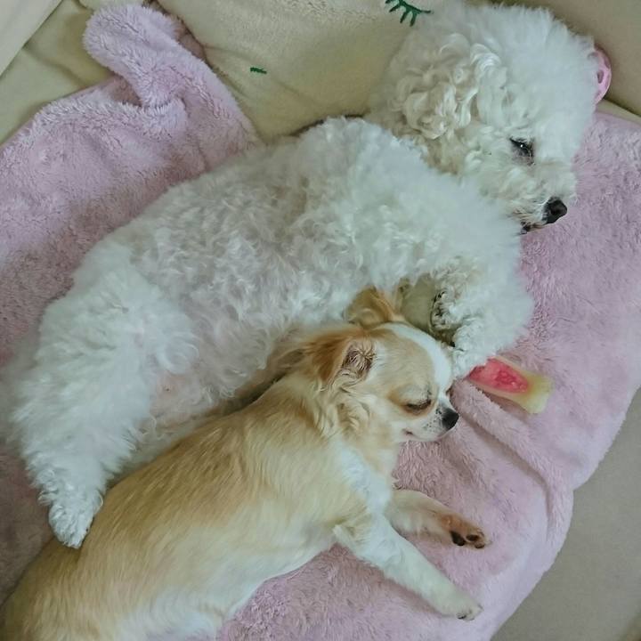 79de2df8 9734 4e59 a617 430cc22289af