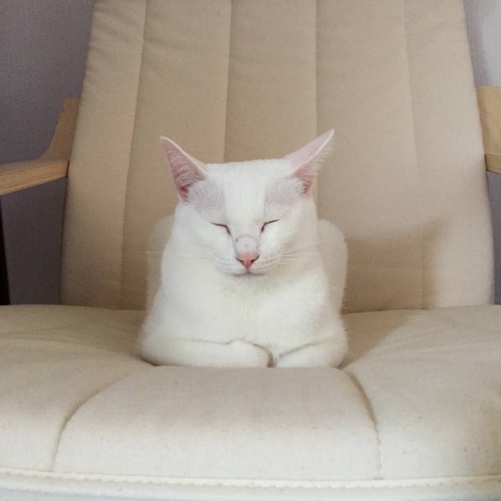 79de392b 863c 4c51 8918 82a3532076ae