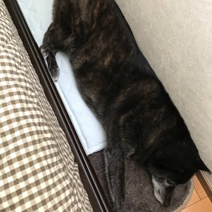 79deedfe 6fa0 4aa2 a75f b75f603358e4